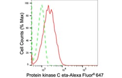 Invitrogen PKC eta Recombinant Rabbit Monoclonal Antibody (24GB1480):Antibodies:Primary
