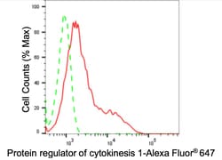 Invitrogen PRC1 Recombinant Rabbit Monoclonal Antibody (24GB3900) 20 &mu;L;