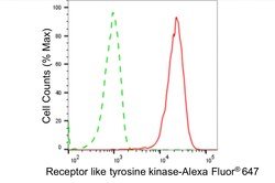 Invitrogen RYK Recombinant Rabbit Monoclonal Antibody (24GB5080):Antikörper:Primärantikörper