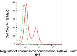 Invitrogen RCC1 Recombinant Rabbit Monoclonal Antibody (24GB4175) 20 &mu;L;