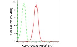 Invitrogen RGMA Recombinant Rabbit Monoclonal Antibody (24GB1320) 20 &mu;L;