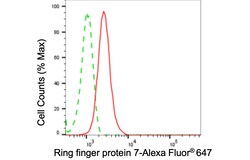 Invitrogen RNF7 Recombinant Rabbit Monoclonal Antibody (24GB5200):Antibodies:Primary