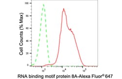 Invitrogen RBM8A Recombinant Rabbit Monoclonal Antibody (24GB1020) 100