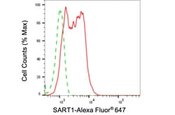 Invitrogen SART1 Recombinant Rabbit Monoclonal Antibody (24GB4210) 20 &mu;L;