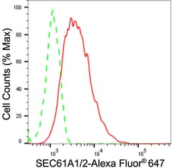 Invitrogen SEC61alpha Recombinant Rabbit Monoclonal Antibody (24GB1230)