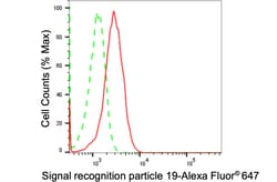 Invitrogen SRP19 Recombinant Rabbit Monoclonal Antibody (24GB1815) 20 &mu;L;