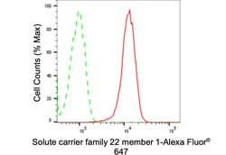 Invitrogen SLC22A1 Recombinant Rabbit Monoclonal Antibody (24GB2510):Anticorps:Anticorps