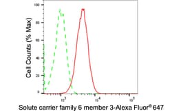 Invitrogen Dopamine Transporter Recombinant Rabbit Monoclonal Antibody