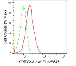 Invitrogen SPRY2 Recombinant Rabbit Monoclonal Antibody (24GB2525) 20 &mu;L;