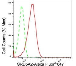 Invitrogen SRD5A2 Recombinant Rabbit Monoclonal Antibody (24GB2565) 100
