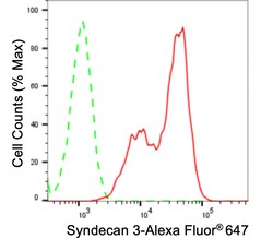 Invitrogen Syndecan 3 Recombinant Rabbit Monoclonal Antibody (24GB3890)
