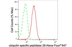Invitrogen USP28 Recombinant Rabbit Monoclonal Antibody (24GB2515) 20 &mu;L;