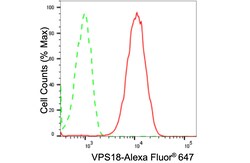 Invitrogen VPS18 Recombinant Rabbit Monoclonal Antibody (24GB2405):Antibodies:Primary