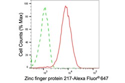 Invitrogen ZNF217 Recombinant Rabbit Monoclonal Antibody (24GB4185) 20