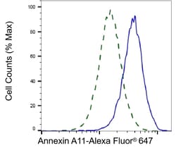 Invitrogen Annexin A11 Monoclonal Antibody (24GB6225) 100 &mu;L; Unconjugated:Antibodies,