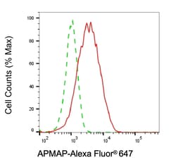 Invitrogen C20orf3 Monoclonal Antibody (24GB6435) 20 &mu;L; Unconjugated:Antibodies,