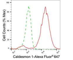 Invitrogen Caldesmon Recombinant Rabbit Monoclonal Antibody (24GB4735)