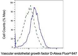 Invitrogen delta Catenin Monoclonal Antibody (24GB5775) 100 &mu;L; Unconjugated:Antibodies,