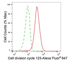 Invitrogen CDC123 Monoclonal Antibody (24GB5705) 20 &mu;L; Unconjugated:Antibodies,