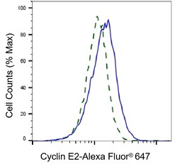 Invitrogen Cyclin E2 Recombinant Rabbit Monoclonal Antibody (24GB4750)