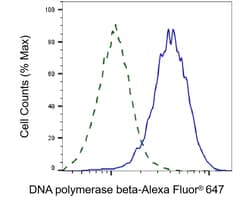 Invitrogen POLB Recombinant Rabbit Monoclonal Antibody (24GB1475) 100 &mu;L;