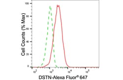 Invitrogen Destrin Monoclonal Antibody (24GB5625) 20 &mu;L; Unconjugated:Antibodies,