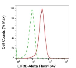 Invitrogen eIF3b Recombinant Rabbit Monoclonal Antibody (24GB4545) 100