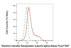 Invitrogen ETFA Monoclonal Antibody (24GB6605) 20 &mu;L; Unconjugated:Antibodies,