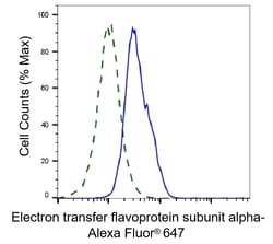 Invitrogen ETFA Monoclonal Antibody (24GB6605) 20 &mu;L; Unconjugated:Antibodies,
