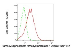 Invitrogen FDFT1 Monoclonal Antibody (24GB5645) 20 &mu;L; Unconjugated:Antibodies,