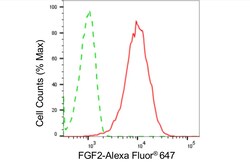 Invitrogen FGF2 Recombinant Rabbit Monoclonal Antibody (24GB4420):Antibodies:Primary