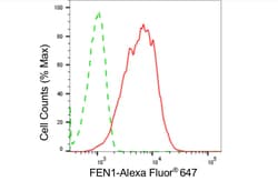 Invitrogen FEN1 Recombinant Rabbit Monoclonal Antibody (24GB4835) 100 &mu;L;
