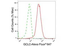 Invitrogen GCLC Recombinant Rabbit Monoclonal Antibody (24GB4860) 100 &mu;L;