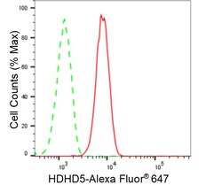 Invitrogen CECR5 Recombinant Rabbit Monoclonal Antibody (23GB6585) 100