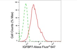 Invitrogen IGFBP7 Recombinant Rabbit Monoclonal Antibody (24GB4910) 100