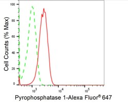 Invitrogen PPA1 Recombinant Rabbit Monoclonal Antibody (24GB1365) 20 &mu;L;