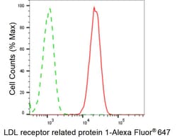 Invitrogen LRP1 Recombinant Rabbit Monoclonal Antibody (24GB4945) 20 &mu;L;