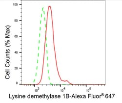 Invitrogen KDM1B Recombinant Rabbit Monoclonal Antibody (23GB6265) 20 &mu;L;