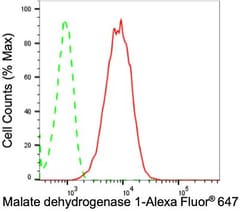 Invitrogen MDH1 Recombinant Rabbit Monoclonal Antibody (24GB1295) 20 &mu;L;