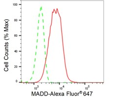 Invitrogen MADD Recombinant Rabbit Monoclonal Antibody (24GB110) 100 &mu;L;