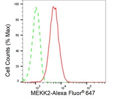Invitrogen MEKK2 Recombinant Rabbit Monoclonal Antibody (24GB260):Antibodies:Primary