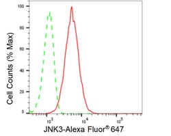 Invitrogen JNK3 Recombinant Rabbit Monoclonal Antibody (24GB320) 100 &mu;L;