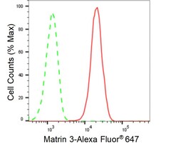 Invitrogen MATR3 Recombinant Rabbit Monoclonal Antibody (24GB535) 100 &mu;L;