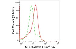 Invitrogen MBD1 Recombinant Rabbit Monoclonal Antibody (24GB405) 100 &mu;L;
