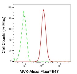 Invitrogen MVK Recombinant Rabbit Monoclonal Antibody (24GB115) 100 &mu;L;