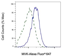 Invitrogen MVK Recombinant Rabbit Monoclonal Antibody (24GB115) 100 &mu;L;