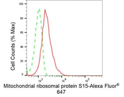 Invitrogen MRPS15 Recombinant Rabbit Monoclonal Antibody (24GB70) 20 &mu;L;