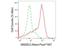 Invitrogen MAD2L2 Recombinant Rabbit Monoclonal Antibody (24GB4950):Antibodies:Primary