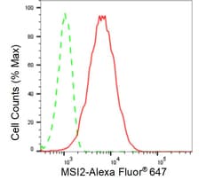 Invitrogen MSI2 Recombinant Rabbit Monoclonal Antibody (24GB225) 100 &mu;L;
