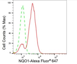 Invitrogen NQO1 Recombinant Rabbit Monoclonal Antibody (24GB355):Antibodies:Primary